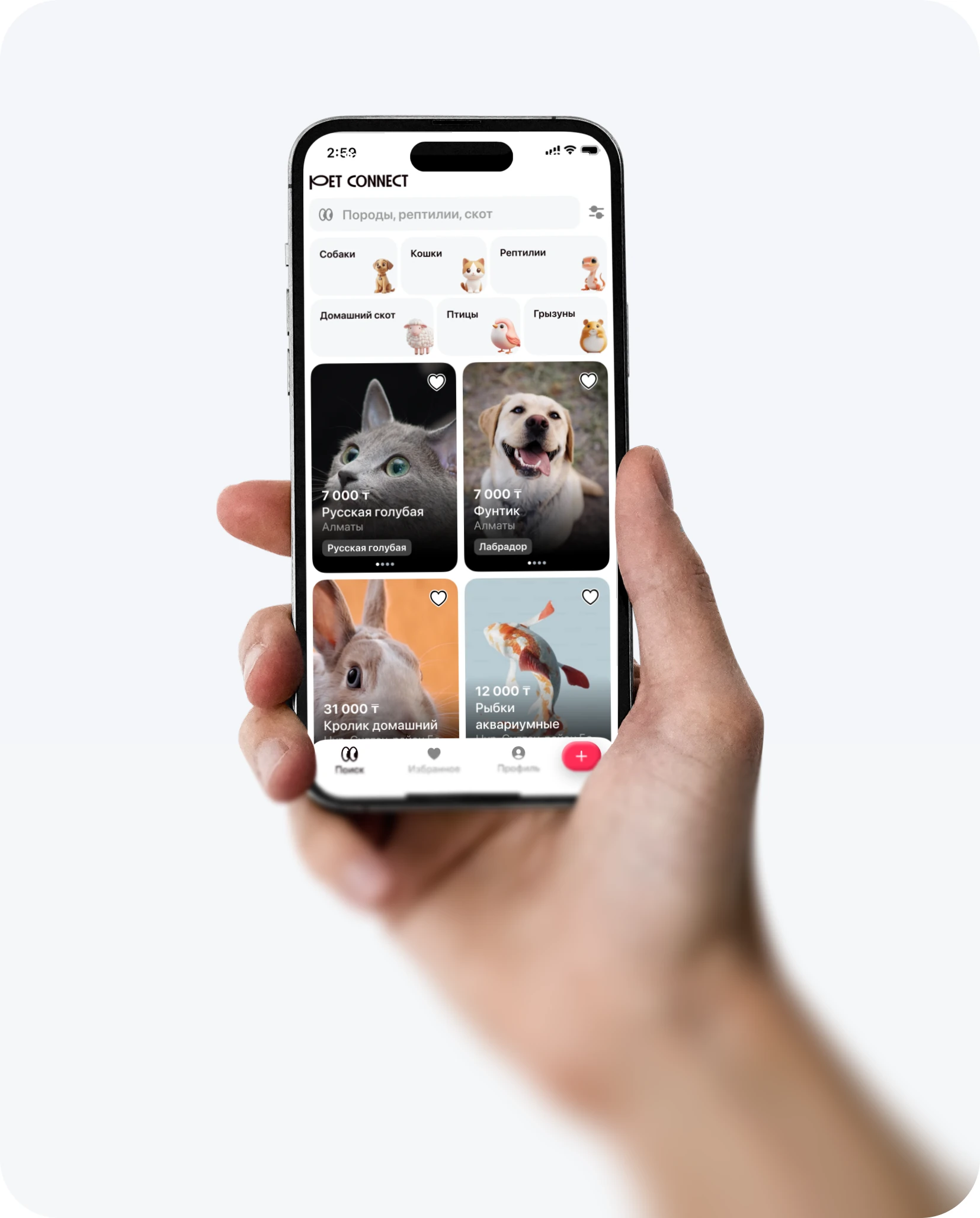 PetConnect: поиск питомцев по категориям и объявления с фотографиями в приложении